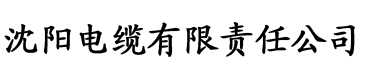 91抖音成长人版安装下载-91抖音成长人版国产版v2.0.4 - 比克尔下载电缆厂logo